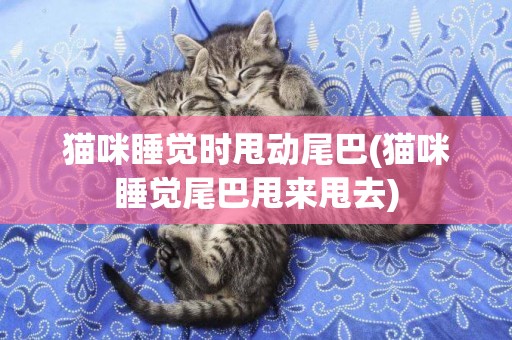 貓咪睡覺時甩動尾巴(貓咪睡覺尾巴甩來甩去)