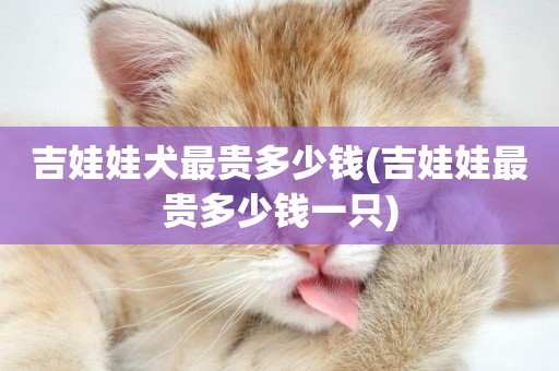 吉娃娃犬最貴多少錢(吉娃娃最貴多少錢一只)