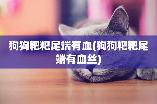 狗狗粑粑尾端有血(狗狗粑粑尾端有血絲)
