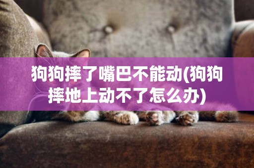 狗狗摔了嘴巴不能動(狗狗摔地上動不了怎么辦)