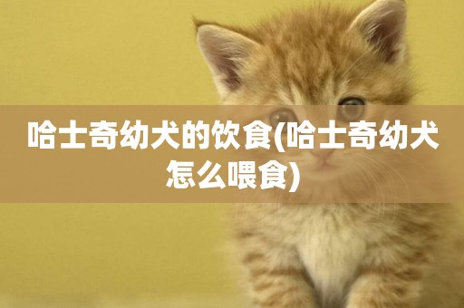哈士奇幼犬的飲食(哈士奇幼犬怎么喂食)