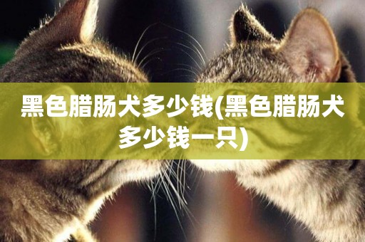 黑色臘腸犬多少錢(黑色臘腸犬多少錢一只)