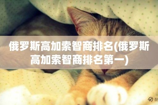 俄羅斯高加索智商排名(俄羅斯高加索智商排名第一)