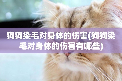 狗狗染毛對身體的傷害(狗狗染毛對身體的傷害有哪些)