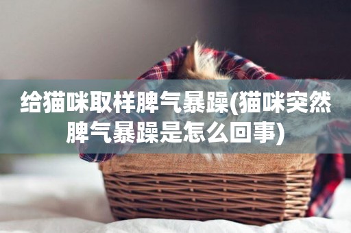 給貓咪取樣脾氣暴躁(貓咪突然脾氣暴躁是怎么回事)