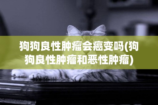 狗狗良性腫瘤會癌變嗎(狗狗良性腫瘤和惡性腫瘤)