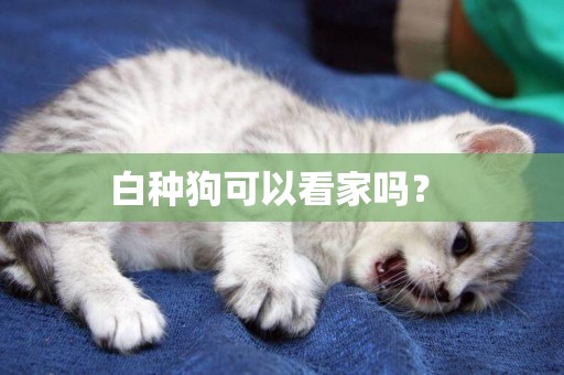 白種狗可以看家嗎？ 