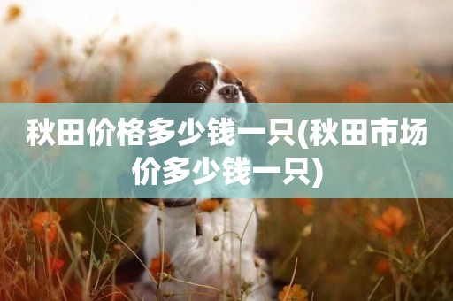 秋田價格多少錢一只(秋田市場價多少錢一只)