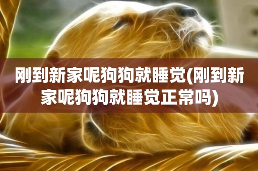 剛到新家呢狗狗就睡覺(剛到新家呢狗狗就睡覺正常嗎)
