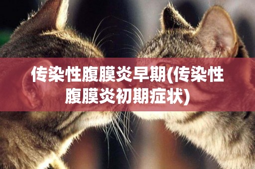 傳染性腹膜炎早期(傳染性腹膜炎初期癥狀)