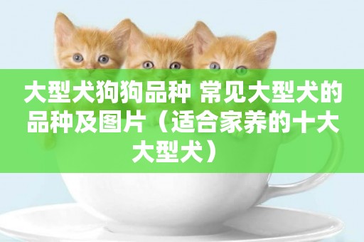大型犬狗狗品種 常見大型犬的品種及圖片（適合家養的十大大型犬） 
