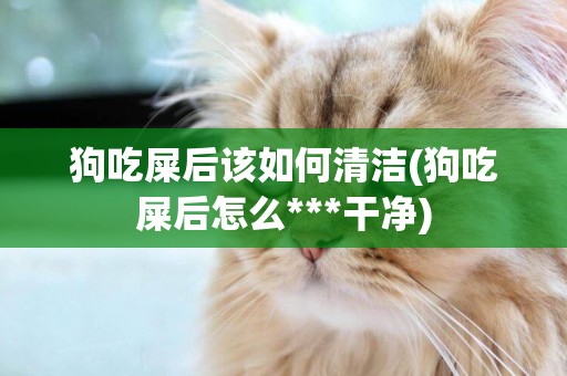 狗吃屎后該如何清潔(狗吃屎后怎么***干凈)