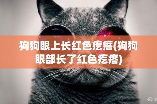狗狗眼上長紅色疙瘩(狗狗眼部長了紅色疙瘩)