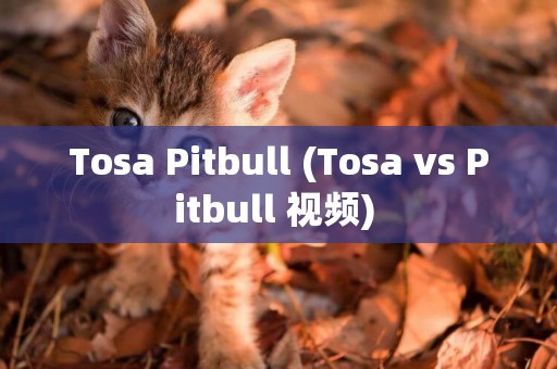 Tosa Pitbull (Tosa vs Pitbull 視頻) 