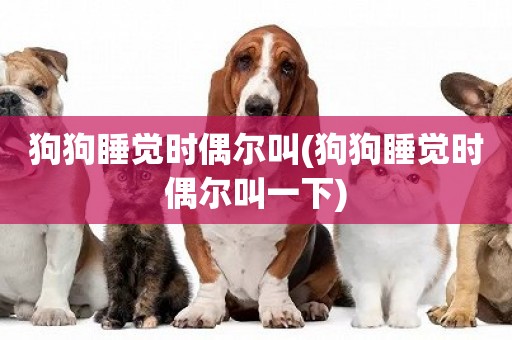 狗狗睡覺時偶爾叫(狗狗睡覺時偶爾叫一下)
