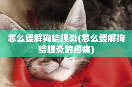 怎么緩解狗結膜炎(怎么緩解狗結膜炎的疼痛)