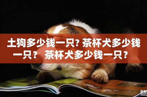 土狗多少錢一只? 茶杯犬多少錢一只？ 茶杯犬多少錢一只？ 