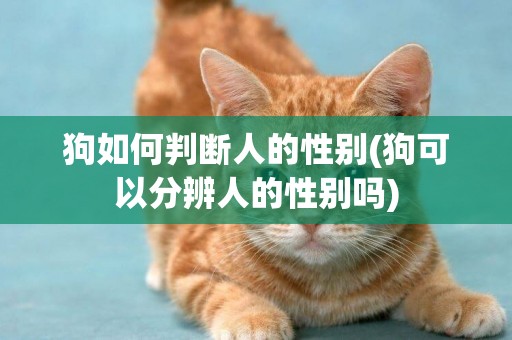 狗如何判斷人的性別(狗可以分辨人的性別嗎)