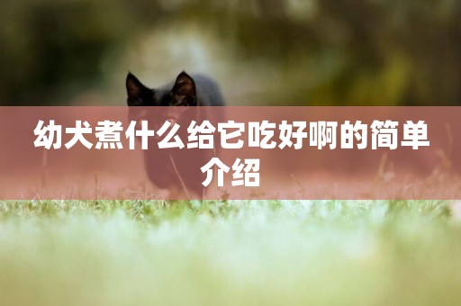 幼犬煮什么給它吃好啊的簡單介紹