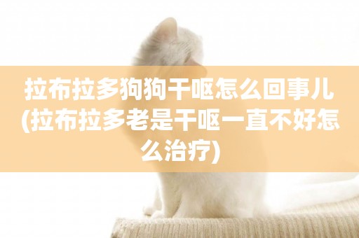 拉布拉多狗狗干嘔怎么回事兒(拉布拉多老是干嘔一直不好怎么治療)
