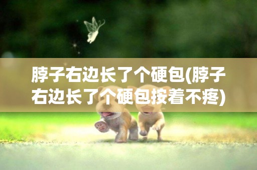 脖子右邊長了個硬包(脖子右邊長了個硬包按著不疼)