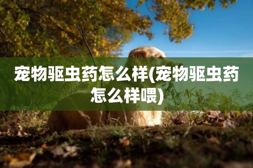 寵物驅蟲藥怎么樣(寵物驅蟲藥怎么樣喂)