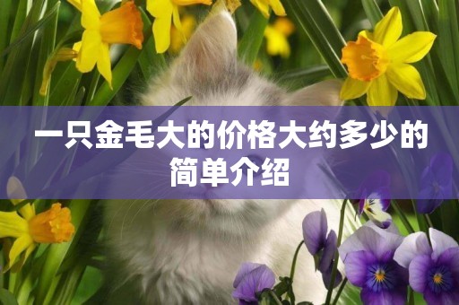 一只金毛大的價格大約多少的簡單介紹
