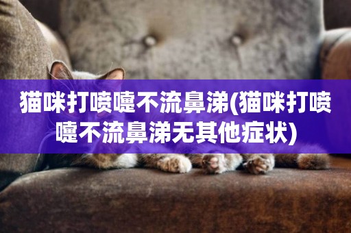 貓咪打噴嚏不流鼻涕(貓咪打噴嚏不流鼻涕無其他癥狀)