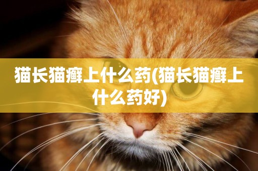 貓長貓癬上什么藥(貓長貓癬上什么藥好)