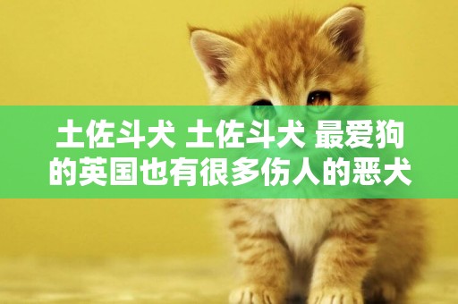 土佐斗犬 土佐斗犬 最愛狗的英國也有很多傷人的惡犬。 建議家長教給孩子這4點 