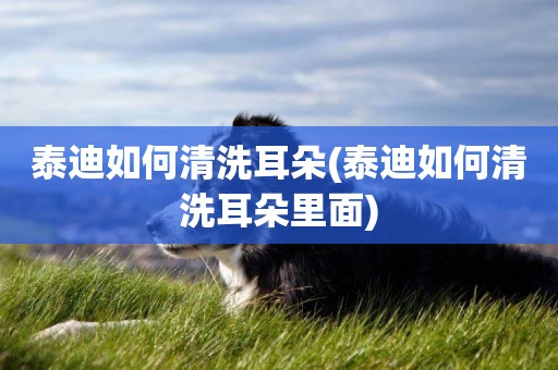泰迪如何清洗耳朵(泰迪如何清洗耳朵里面)