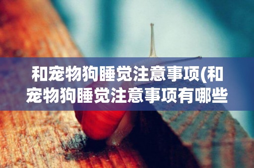 和寵物狗睡覺注意事項(和寵物狗睡覺注意事項有哪些)