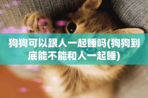 狗狗可以跟人一起睡嗎(狗狗到底能不能和人一起睡)