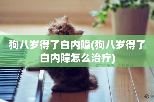 狗八歲得了白內障(狗八歲得了白內障怎么治療)