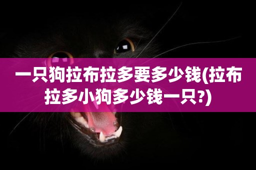 一只狗拉布拉多要多少錢(拉布拉多小狗多少錢一只?)