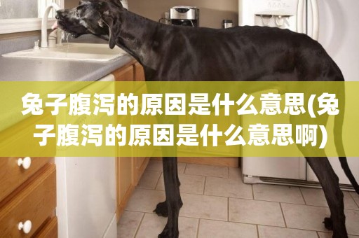 兔子腹瀉的原因是什么意思(兔子腹瀉的原因是什么意思啊)