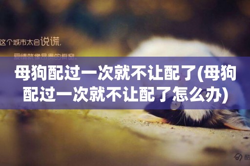 母狗配過一次就不讓配了(母狗配過一次就不讓配了怎么辦)
