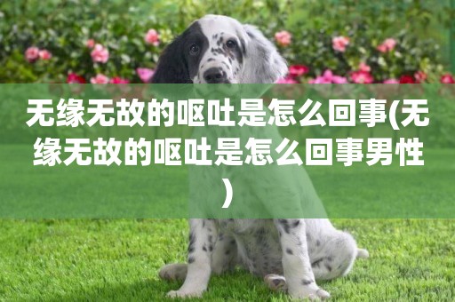 無緣無故的嘔吐是怎么回事(無緣無故的嘔吐是怎么回事男性)
