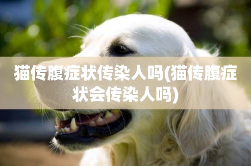 貓傳腹癥狀傳染人嗎(貓傳腹癥狀會傳染人嗎)
