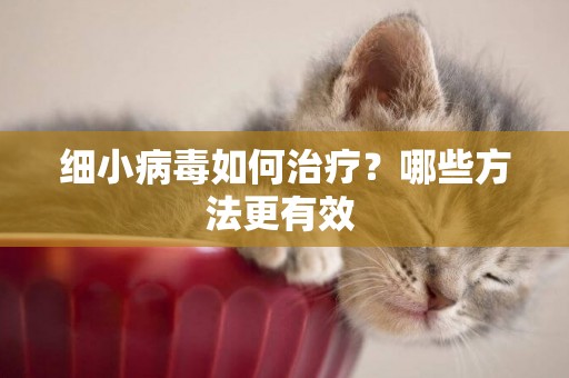 細小病毒如何治療？哪些方法更有效 