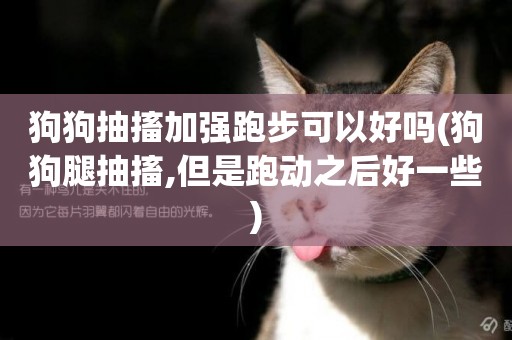 狗狗抽搐加強跑步可以好嗎(狗狗腿抽搐,但是跑動之后好一些)