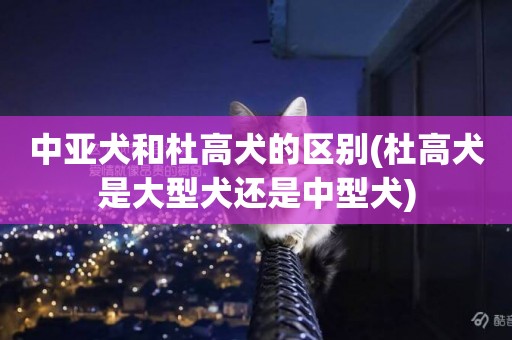 中亞犬和杜高犬的區別(杜高犬是大型犬還是中型犬)