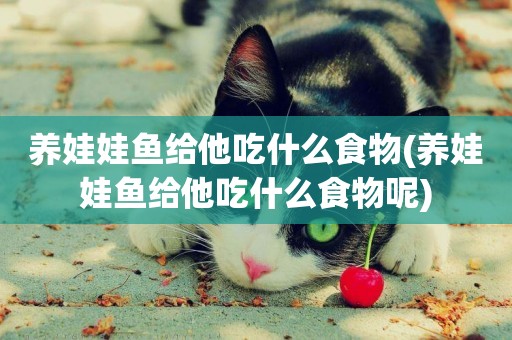 養娃娃魚給他吃什么食物(養娃娃魚給他吃什么食物呢)