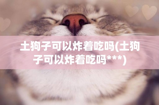 土狗子可以炸著吃嗎(土狗子可以炸著吃嗎***)