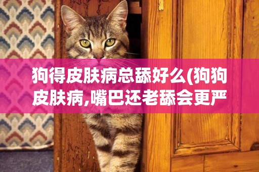 狗得皮膚病總舔好么(狗狗皮膚病,嘴巴還老舔會更嚴重嗎)