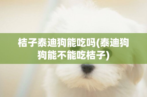 桔子泰迪狗能吃嗎(泰迪狗狗能不能吃桔子)