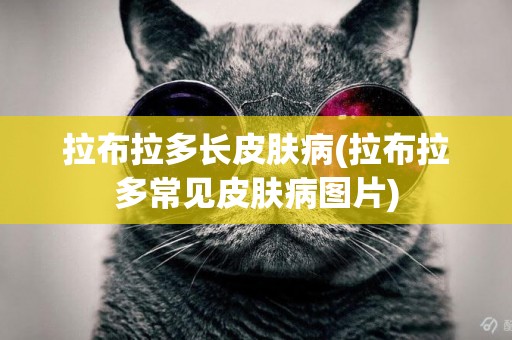 拉布拉多長皮膚病(拉布拉多常見皮膚病圖片)