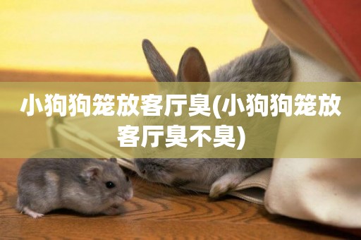 小狗狗籠放客廳臭(小狗狗籠放客廳臭不臭)