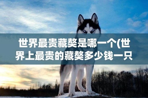 世界最貴藏獒是哪一個(世界上最貴的藏獒多少錢一只)