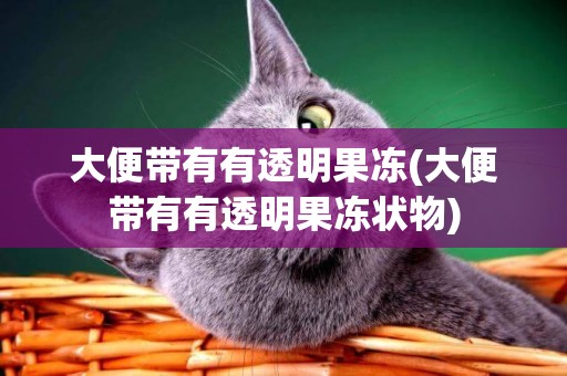 大便帶有有透明果凍(大便帶有有透明果凍狀物)